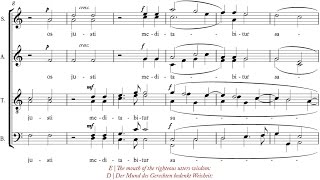 Bruckner | Os justi [á 4-8; Voces8] chords