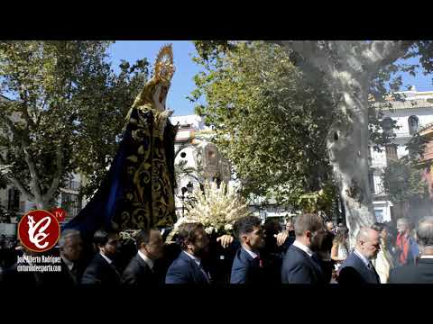 Pontificia Fervorosa, Ilustre y Antigua Hermandad y Cofradía de Nazarenos de Nuestro Padre Jesús ante Anás, Santo Cristo del Mayor Dolor, María Santísima del Dulce Nombre y San Juan Evangelista