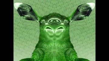 Numa Cat In Blind Not Sure What I Did To RJ KUMAR VERSION OF I KILLED