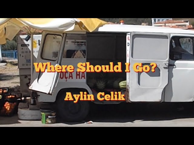 All Videos