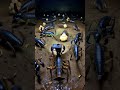 Scorpion POV Inside a Secret Underground Colony 🦂 | Real Micro Camera Exploration
