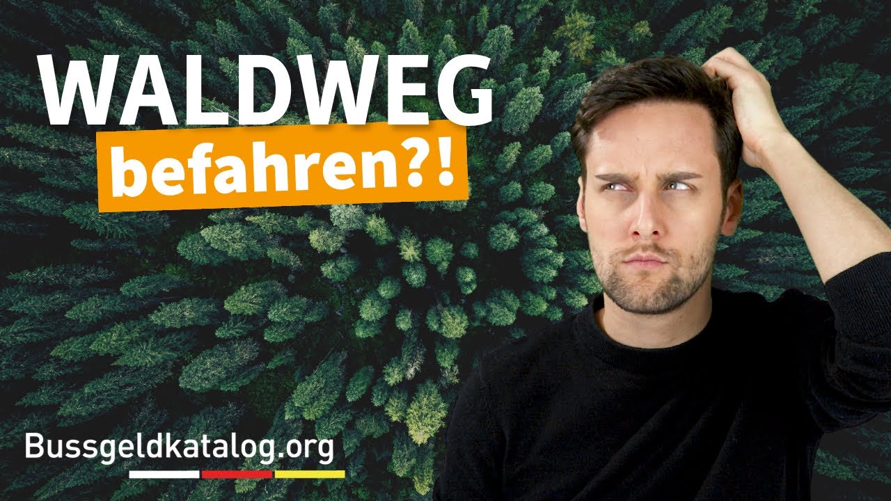 Dürft ihr Feld- und Waldwege befahren? 🌳🌳🌳 Was gilt für Autos und Fahrräder?