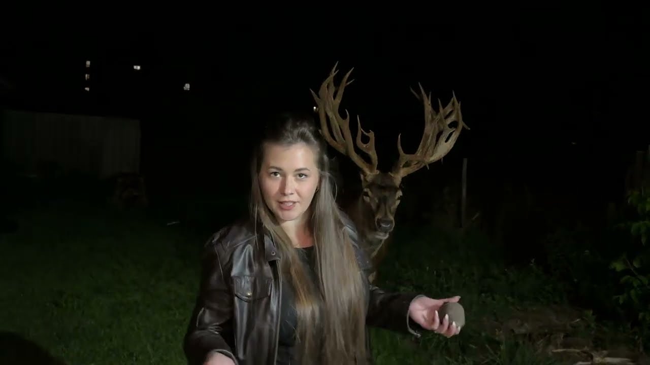 Олень Борис не голодний але прийшов #irysik3076 #deer #animals #олень #оленьборис #оленьборя