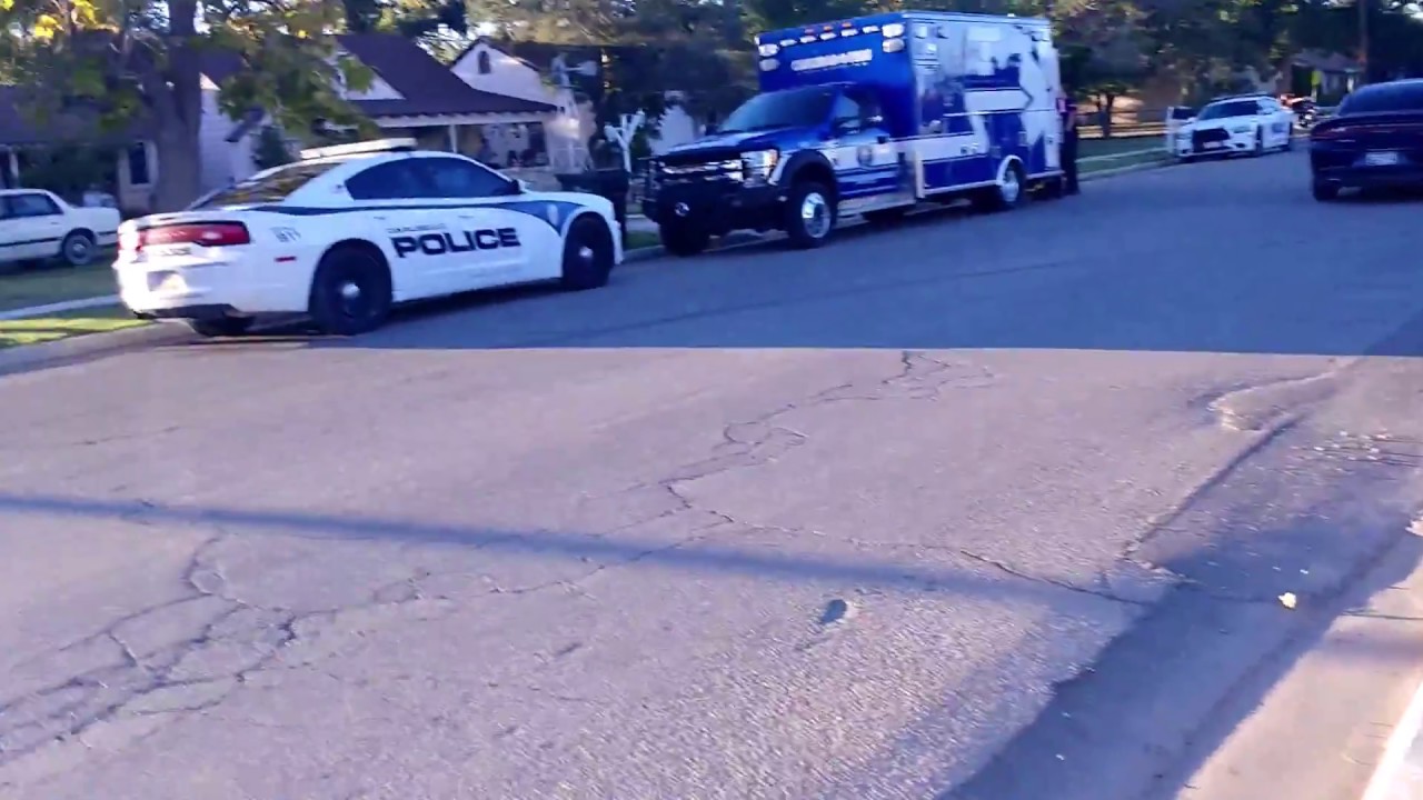 Stray Girl's First Copwatch (Making her daddy proud) 1st amendment wiki