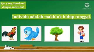 Pendidikan Lingkungan Hidup (PLH) Kelas 6 Pemeliharaan Lingkungan Biotik & Abiotik (part 1)