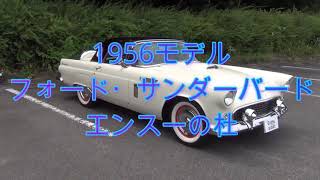 エンスーの杜」フォード サンダーバード の個人売買情報