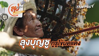 ลุงบุญชู กูรูไข่มดแดง | ลุยไม่รู้โรย ลุยไปด้วยกัน