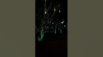 #SIC#iitindore#iitiansvlogs#festivevibes#iitidiary#diwali2025#iiticampuslife