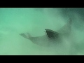 The National Hard To Find Official Video 