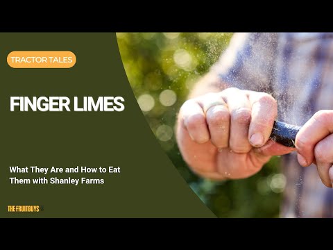 Finger Limes: What They Are and How to Eat Them (with Shanley Farms) - video from FruitGuys