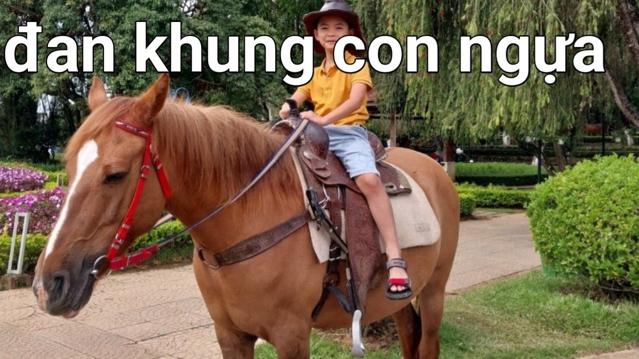 hướng dẫn đan khung sắt hình chú ngựa