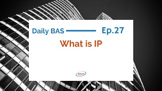 Daily BAS 027: What is IP