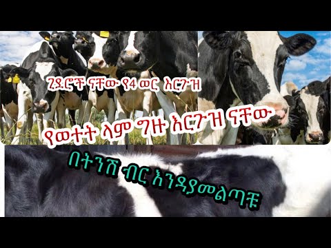 ቪዲዮ: ከፊልሙ ትዕይንቶች በስተጀርባ “ሁሉም ነገር መልካም ይሆናል” - የ 1990 ዎቹ የፊልም ጣዖታት ከማያ ገጾች ለምን ጠፉ