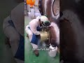 #科普 #科学解説