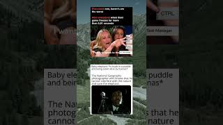 Funny relatable #memes π€― ~ who else watched Nat Geo Wild β#shorts Funny relatable #memes π€― ~ who else watched Nat Geo Wild β#shorts