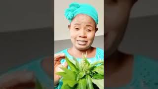 SPIRITUAL BENEFITS OF SCENT LEAVES YOU NEVER KNOW. CHECK PINNED COMMENT FOR FULL DETAILS