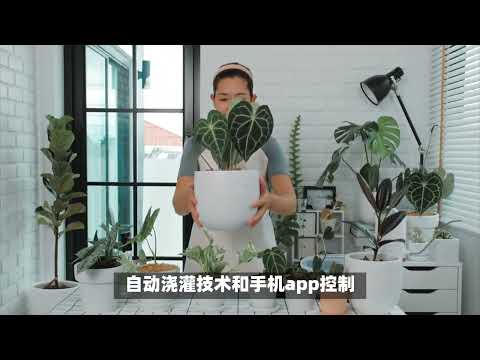 智能盆栽：让你的绿色生活更轻松