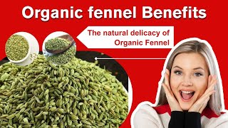 Organic Fennel Benefits | India First's Marketplace for Organic & Chemical Free Products #organic