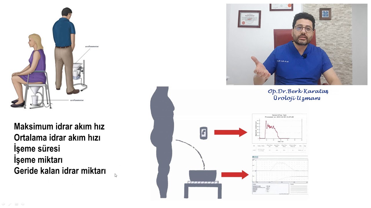 Hangi Pozisyonda İdrar Yapılmalı ?  Ayakta mı ? Oturarak mı ? Çömelerek mi?