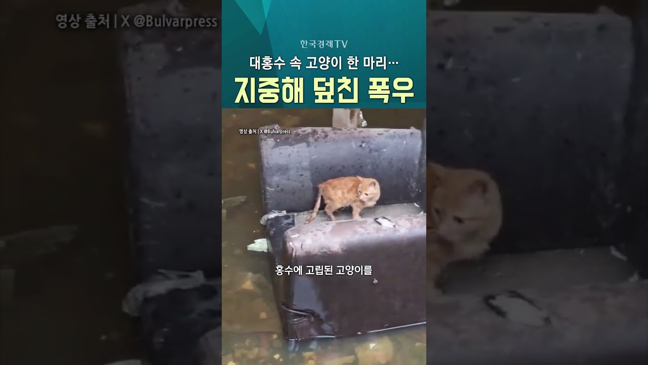 [한국경제TV NEWS] 지중해 덮친 물폭탄 ㅣ #shorts