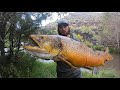 BIGGEST FISH I’VE EVER SEEN..  (State Record Tiger Trout)