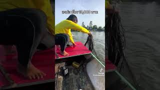 ปลาใหญ่
