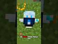 How to get a CUSTOM SKIN Totem in Minecraft! (Java/Bedrock) 🛠️