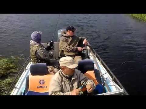 сайт охотников и рыболовов в тюмени сайт охотников и рыболовов в тюмени