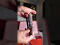 TEENAGERS’ GIFT IDEAS | MY DAUGHTER WORE THE MASCARA TODAY