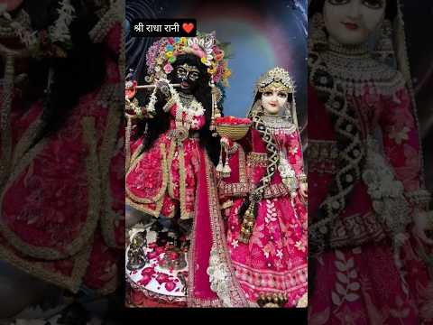 श्री राधा हमारी गोरी गोरी है नवल किशोरी कन्हैया तेरो कालो है 🫰🏻💕#shortsfeed #trending #viral song