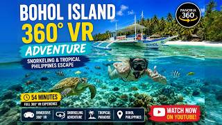 Bohol Island 360° VR Adventure | Snorkeling &amp; Tropical Philippines Escape