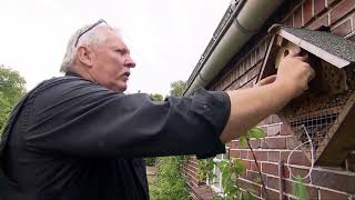 Hd Der Xxl-Ostfriese - Auf Den Ersten Blick - Unterwegs Mit Knochenbrecher Tamme Hanken Doku