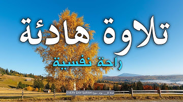 سورة يوسف | تلاوة هادئة تريح الاعصاب 🎧💙 تلاوة مؤثرة جدا | راحة نفسية😌