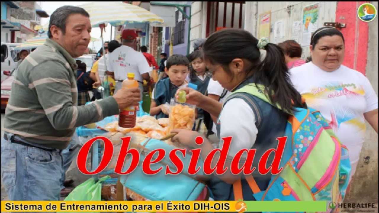 Obesidad Básica 1 workday