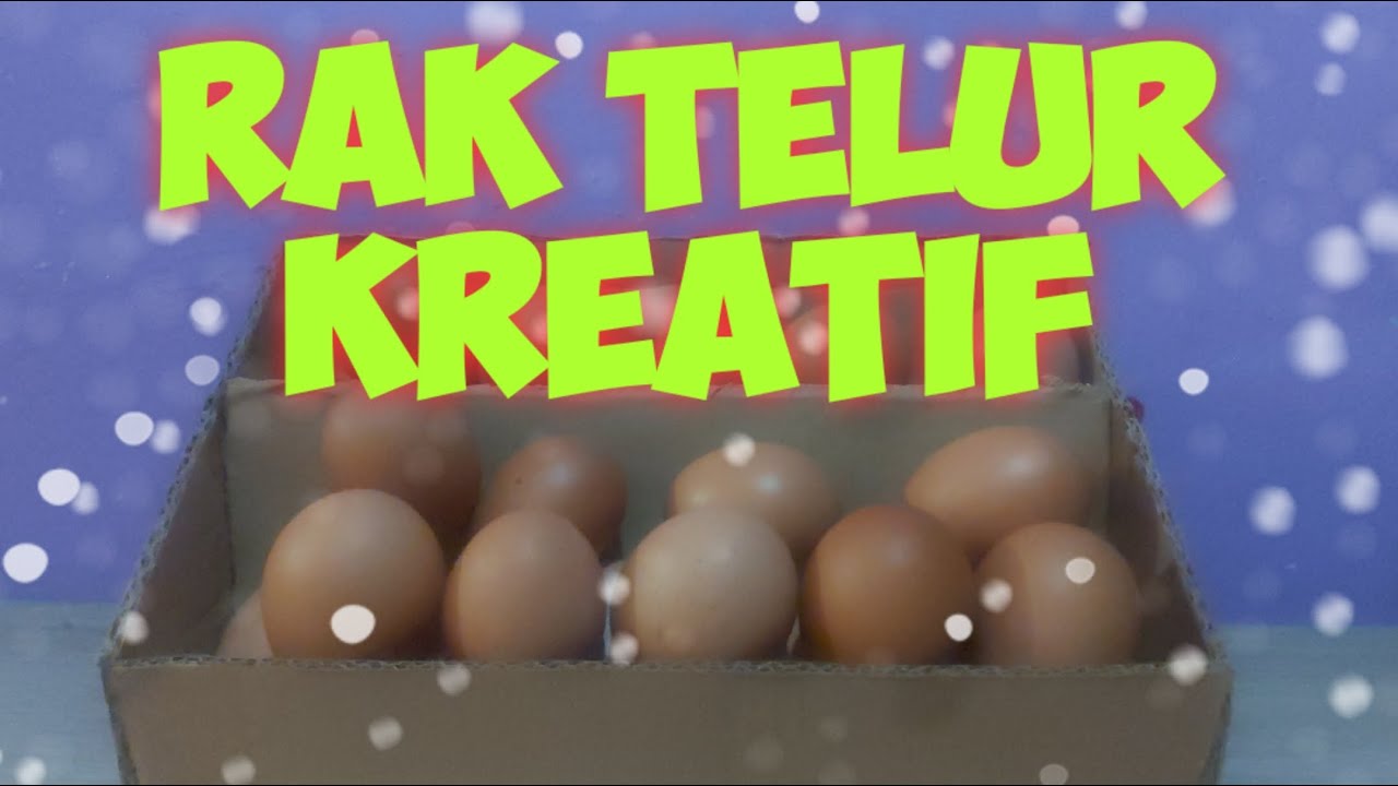 cara membuat  rak telur kreatif dari  bahan kardus  ide 