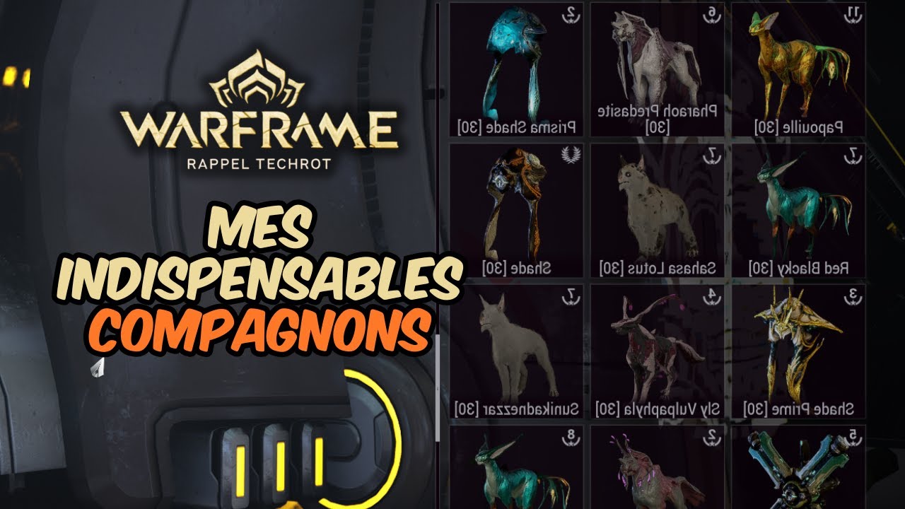 Mon top des compagnons les plus utiles sur Warframe
