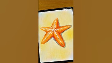 Simple Starfish 🌟 #procreate #shorts #art #watercolor