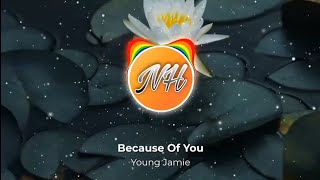 Young Jamie - Because Of You