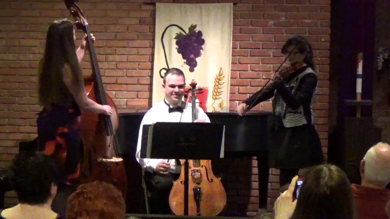 Hauser Bluegrass Trio