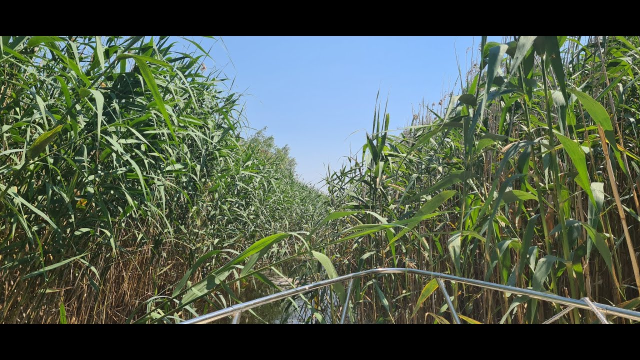 Lacul Sinoe, Golovita si Razim - cu barca in cautarea pelicanilor