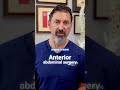Motus by 3-Spine as an alternative to anterior lumbar total disc replacement