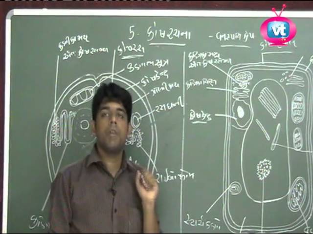 Vadodara Tuition Std 11 Sem1 Biology Lesson 05 Koshrachana H S C Gujarati Medium Youtube