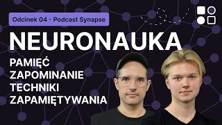 Neuronauka: pamięć, zapominanie i techniki zapamiętywania | Synapse E04 screenshot 2