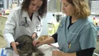 Coral Springs Medical Center Emergency Room Phone Number Coral Springs Medical Center Emergency Room Phone Number