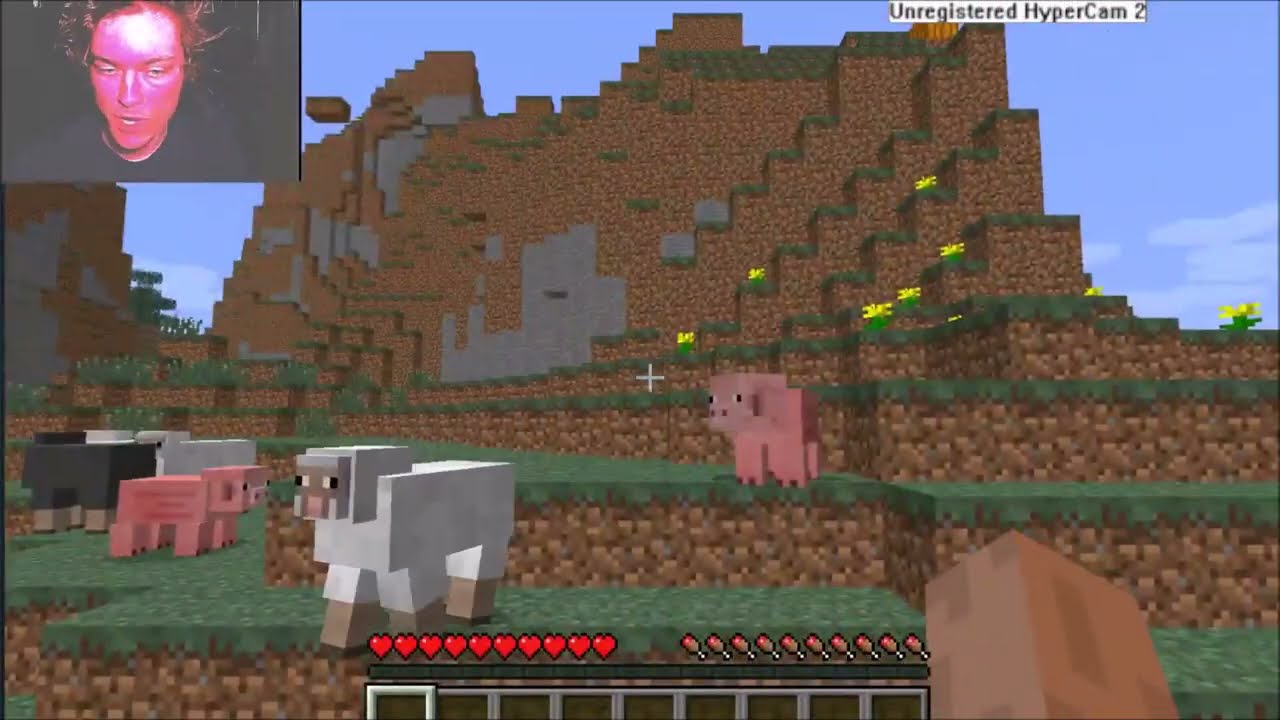 The $5 one  - Wecome to my let's play!!!