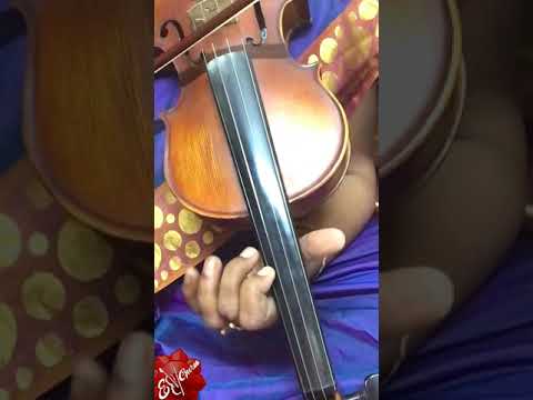 86.Varavallabha ramana....song..eviolinguru.com
