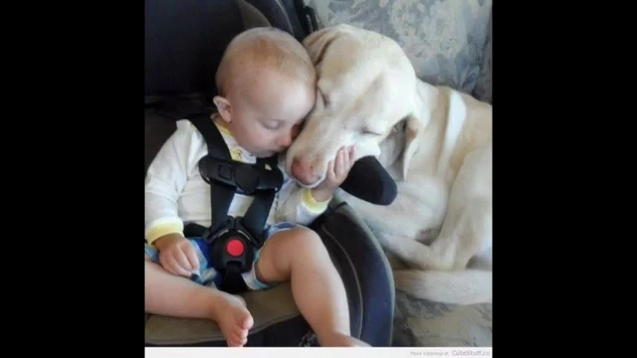 the-most-beautiful-babies-in-the-world-youtube