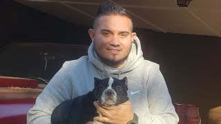What I Learnt On My Journey Selling  My Litter of #americanbully Pups and Tips that may HELP U Sell!