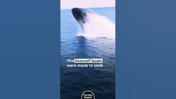 Top 4 Most Special Submarines in the World