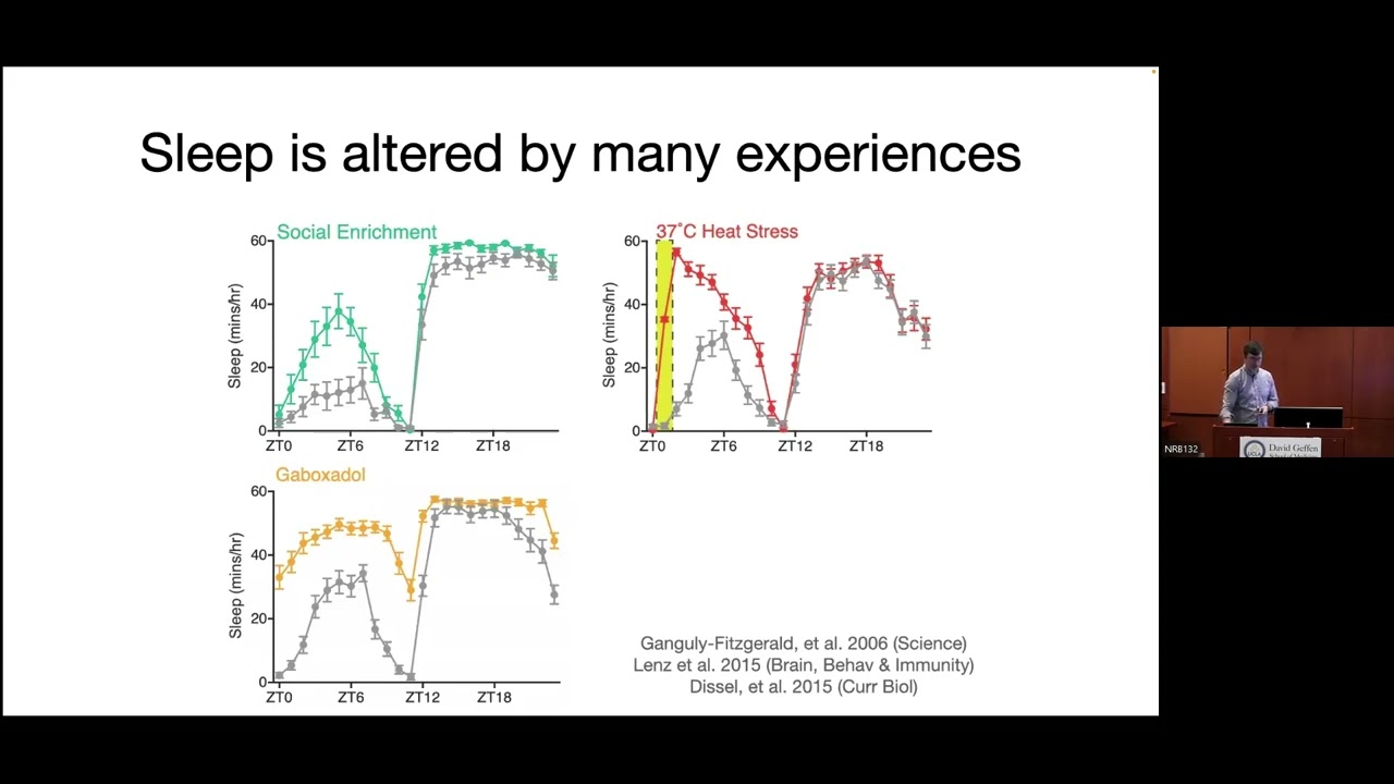 BRI Joint Seminar in Neuroscience - Jeff Donlea, Ph.D.